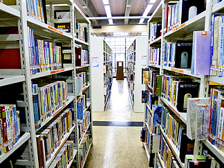 圖書館藏書標(biāo)簽?zāi)０?免費下載與高效管理指南